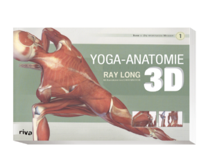 Abbildung: Ray Long Yoga Anatomie 3D